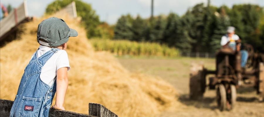 Firestone Farm, The Henry Ford Firestone Farm, The Henry Ford